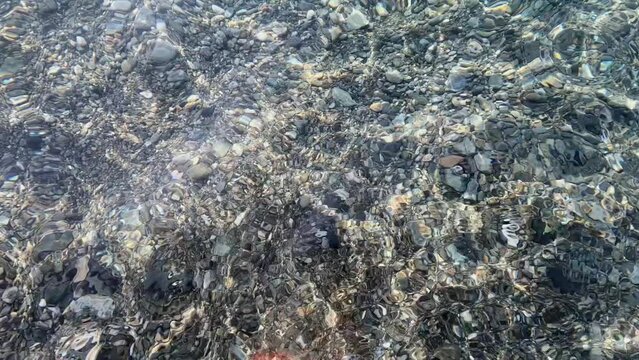 clear sea water and rocky bottom.