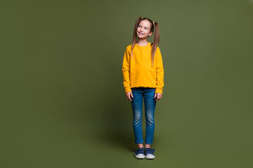 Full size photo of diligent small kid with tails dressed yellow sweatshirt look at promo empty...