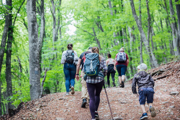 A group of people hiking in the woods in nature journey