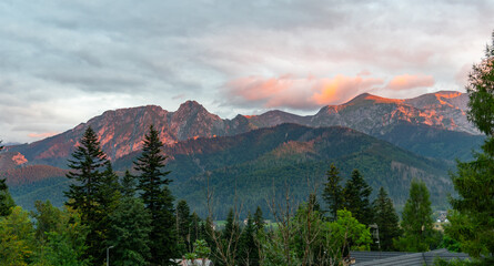 mountain view forest landscape Poland Zakopane © Андрей Трубицын
