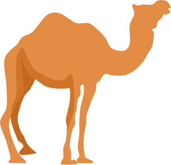 camel cartoon character
