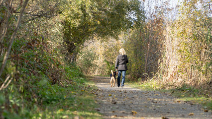 person walking a dog