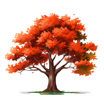 Cartoon image of a maple tree with striking red leaves in an autumn setting.