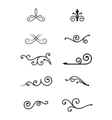 Vector line art vintage flourishes object