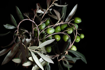 Fresh green olives on a branch form a heart. The fruit and leaves can be seen against a dark...