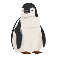 Penguin. Cartoon graphic drawing. Close-up. White background. For web design, print, kids illustrations, stickers.
