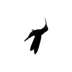 Flying Hummingbird Silhouette, can use Art Illustration, Website, Logo Gram, Pictogram or Graphic Design Element. Vector Illustration
