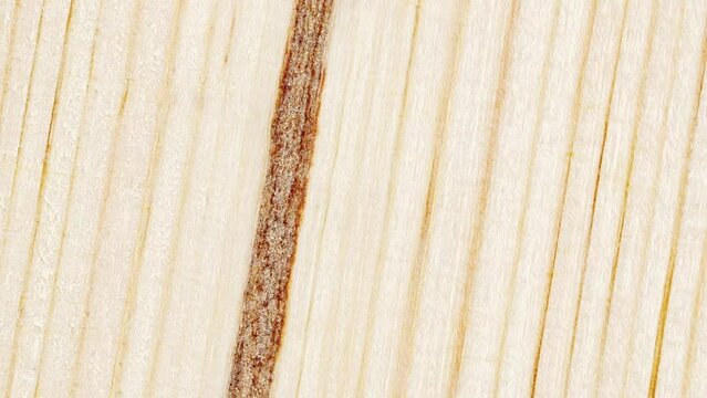 Wooden surface, structure, thick wood fiber, with horizontal parallel stripes are dark, background, rotating, turning, close-up macro, top view
