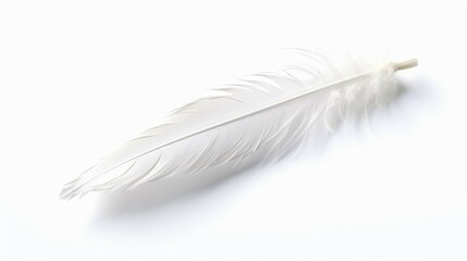 white romatic feather Ai Generative