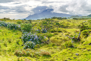 Montanha do Pico © ThoPics