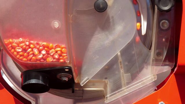 Seed sorter operates with dry corn grains in workshop close view. Automatic equipment to process products. Agricultural machine presentation