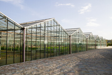 Obraz premium Glass greenhouses in sunlight