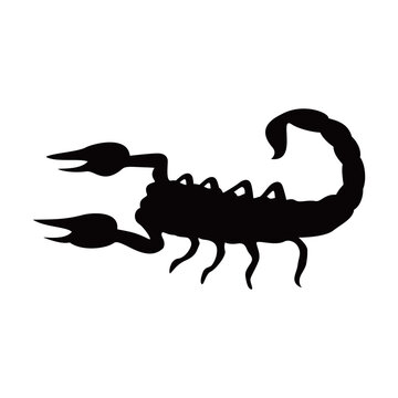 black scorpion silhouette design. dangerous animal sign and symbol. 