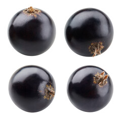 Currant berry isolated on the white background