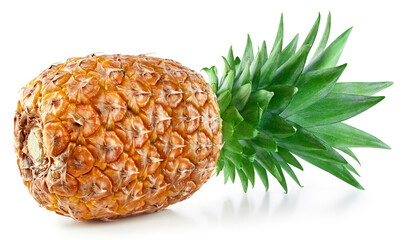 One pineapple isolated on white - Powered by Adobe