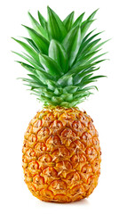Ripe pineapple with leaves