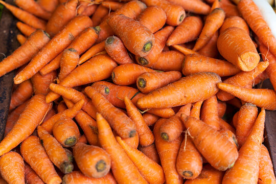 baby carots for sale in the morning market Fresh
