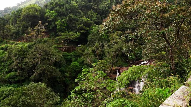Rainforest Waterfall on the road at charmadi ghat karnataka india