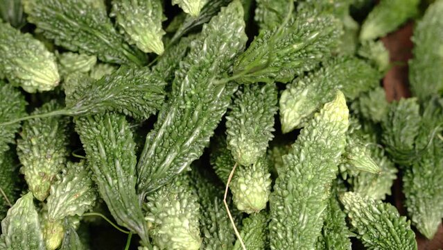 Top view group of bitter gourd background