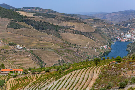 douro river valley near Pinhao
