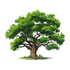 A mighty oak tree illustrated in a cartoon style, with a thick trunk and lush green leaves.