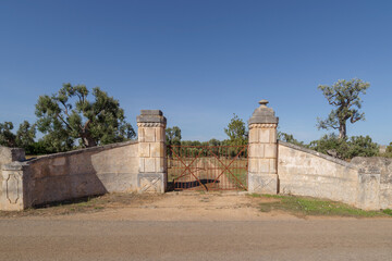 A ruined gate to a property in an olive grove, Apulia, Italy