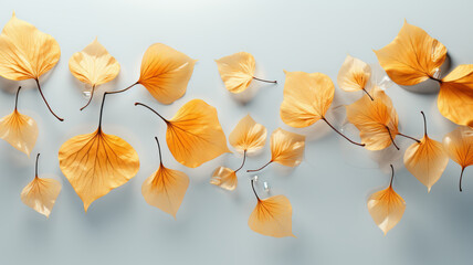 Isolated falling leaves, 3D render, transparent background