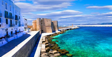 Gordijnen Beautiful coastal tow Monopoli in Puglia, view with medieval castle. Italy © Freesurf