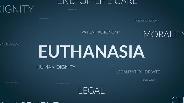 Unveiling Perspectives: A Dynamic Zoom into Euthanasia Related Themes