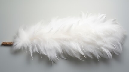 A feather duster, its delicate plumes capturing detail and softness, portrayed against a flawless white background.