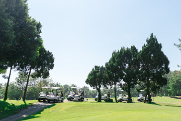 Several golf carts were parked in the middle of a grassy field and green trees, with a clear sky in the background.