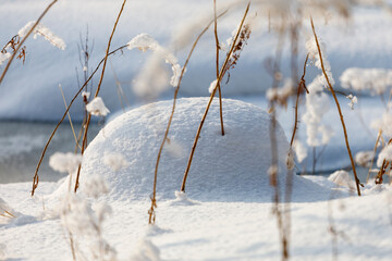 Dry grass under the cover of fluffy snow close-up.