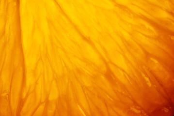 Orange slice with backlight, abstract macro photography orange fruit closeup background, citrus fruit texture - obrazy, fototapety, plakaty