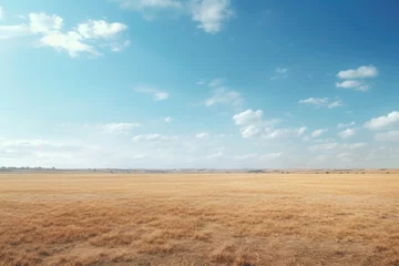 Foto op Canvas A picture of a field covered in dry grass with a clear blue sky in the background. This image can be used to depict the beauty of nature and the changing seasons © Ева Поликарпова