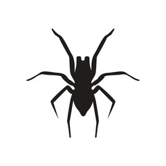spider logo icon