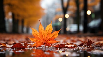 Naklejka na ściany i meble Autumn Leaves in Focus Amidst the Rain Blur Background