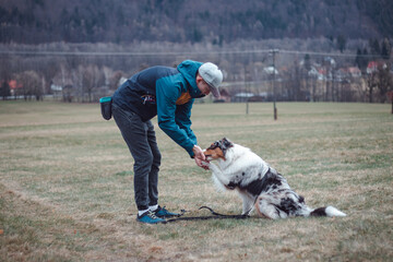 Young cynologist, a dog trainer trains a four-legged pet Australian Shepherd in basic commands using treats. Love between dog and human