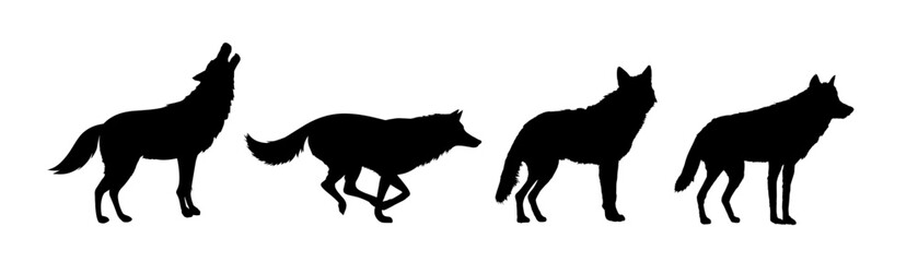 Set of wolf silhouettes. Wolf silhouette isolated.	