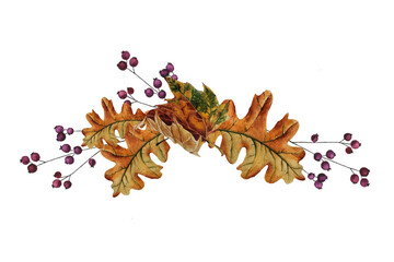 Watercolor autumn foliage border. Fall oak leaves with berries branches border.