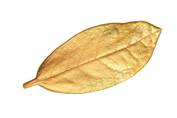 Golden leaf design elements isolated on white background.