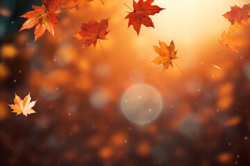 Flying fall maple leaves on autumn background, maple leaves on autumn background, autumn concept, fall maple leaves, autumn background