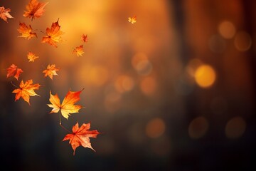 Naklejka na ściany i meble Flying fall maple leaves on autumn background, maple leaves on autumn background, autumn concept, fall maple leaves, autumn background