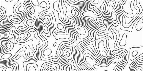 Topographic map in contour line light topographic topo contour map Line topography map contour background, geographic grid Vector illustration, Topo contour map on white background