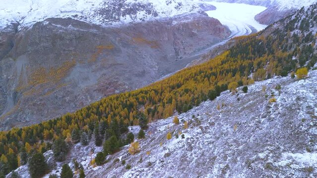 The largest glacier aletschgletscher Ice River in the Swiss Alps