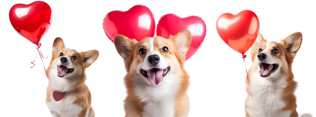 Set of happy dog animations with balloons formed like a heart, fitting for Valentine’s Day or commemorative moments. Isolated on Transparent Background, PNG