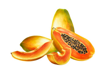 Marker sweet ripe composition of half a papaya with grains watercolor style. Hand drawn realistic tasty organic illustration of exotic tropical fruit isolated on background. For designers, wedding