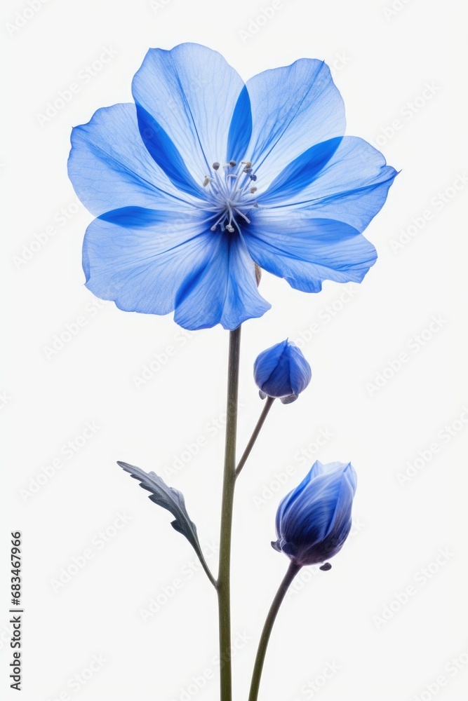 Poster a detailed close-up view of a blue flower on a stem. this image can be used for various purposes, in