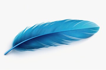 A single blue feather lying on a white background. Can be used for artistic or decorative purposes.