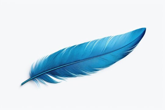 A beautiful blue feather is placed on a clean white background. This image can be used for various purposes, such as nature-themed designs, stationary, or as a symbol of freedom and lightness.
