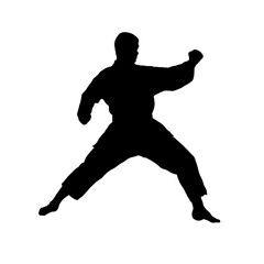 silhouette of karateka, karate fighter - vector illustration